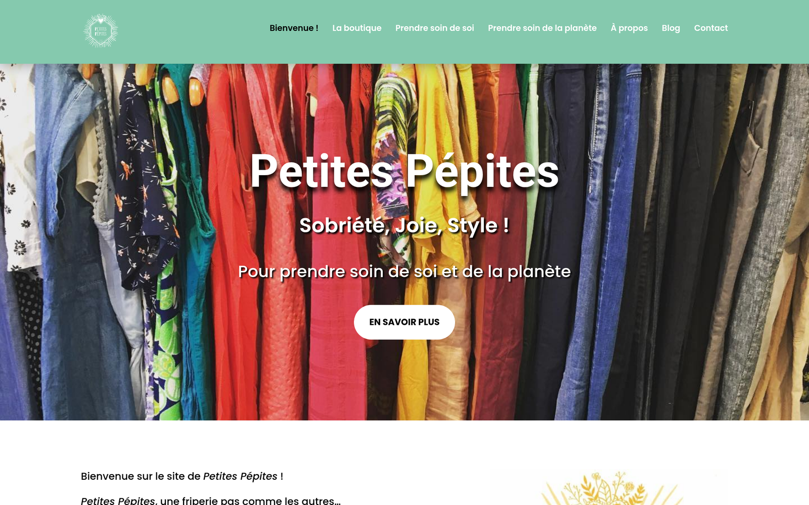 Site web de Petites Pépites
